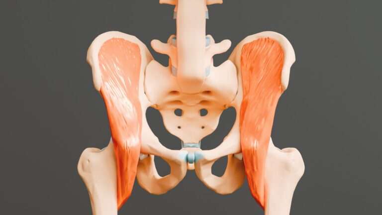 Hip Fractures and Fall Prevention